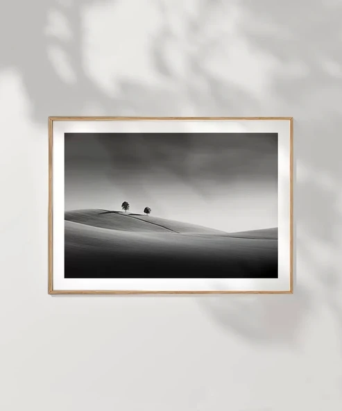 Çerçevesiz Poster Huzurun İki Tanığı - Resim 7