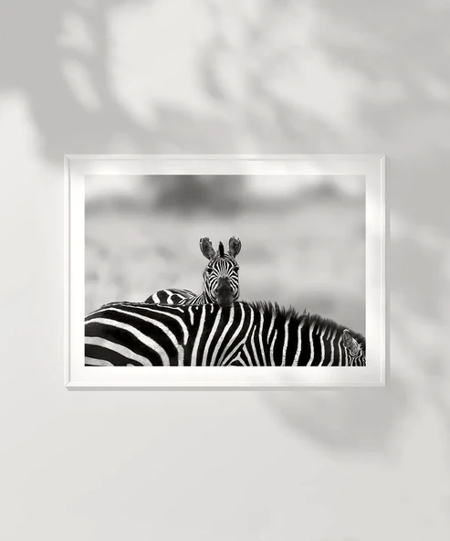 Çerçevesiz Poster Siyah Beyaz Denge - Resim 6