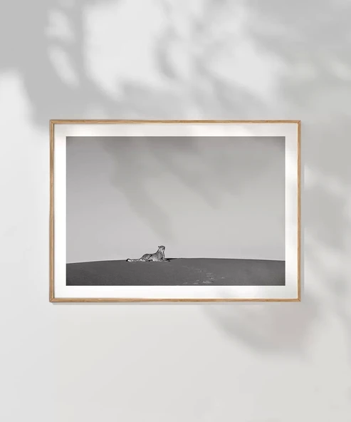 Çerçevesiz Poster Vahşi Yalnızlık - 7