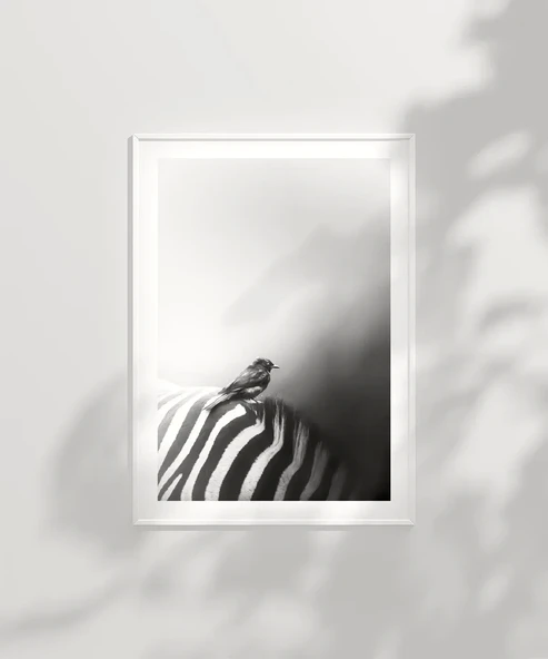 Çerçevesiz Poster Çizgilerin Üzerinde - Resim 6