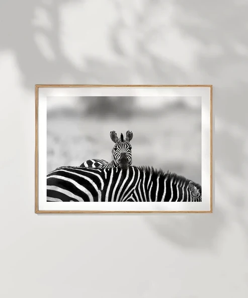 Çerçevesiz Poster Siyah Beyaz Denge - Resim 7