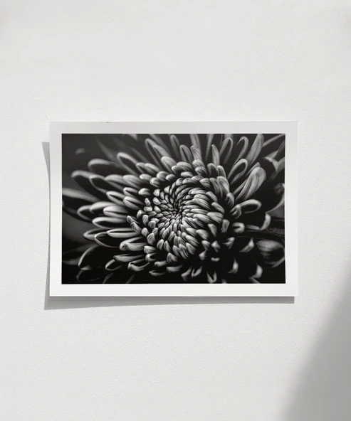 Çerçevesiz Poster Doğanın Geometrisi ürün görseli