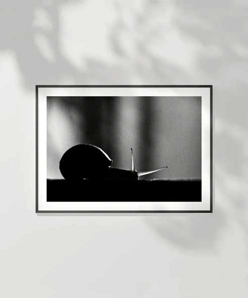 Çerçevesiz Poster Sabırın Gücü - Resim 2