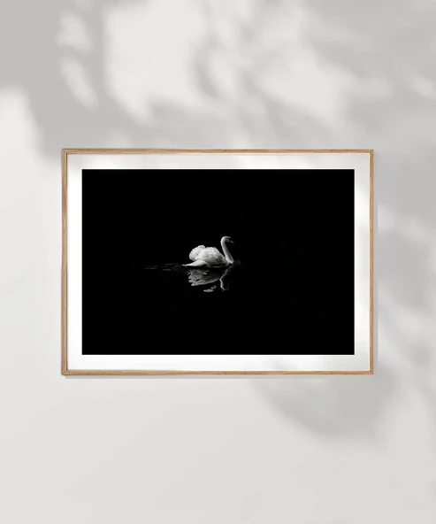 Çerçevesiz Poster Gecenin Yalnız Kuğusu - Resim 7