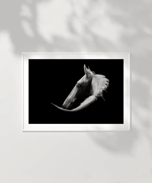 Çerçevesiz Poster Gölgedeki Asalet - Resim 6