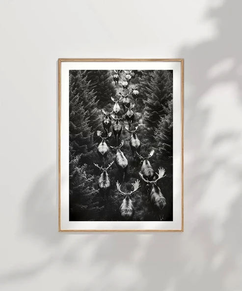 Çerçevesiz Poster Ormanın Sessiz Sürüsü - Resim 7