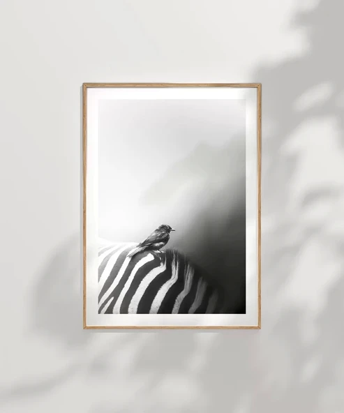 Çerçevesiz Poster Çizgilerin Üzerinde - Resim 7