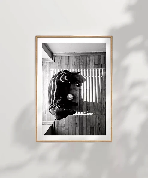 Çerçevesiz Poster Gölge Oyunları - Resim 7