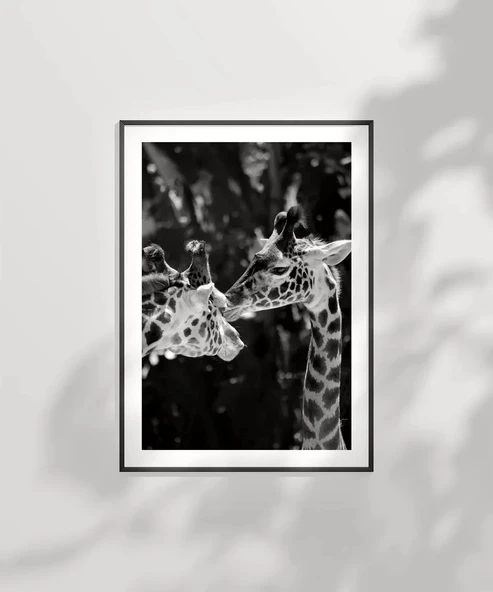 Çerçevesiz Poster Uzun Boylu Aşk - Resim 2