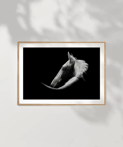 Çerçevesiz Poster Gölgedeki Asalet - Resim 7