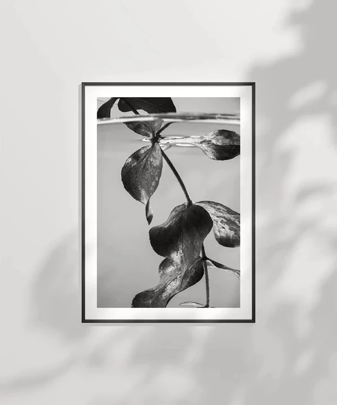 Çerçevesiz Poster Suyun Altındaki Hayat - Resim 2