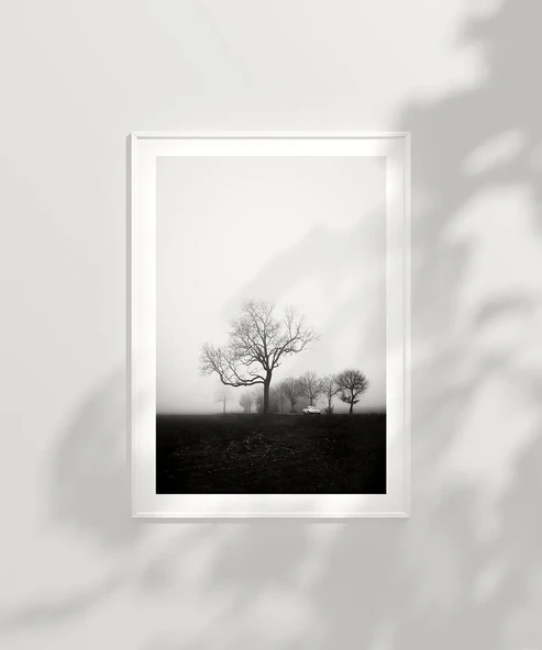 Çerçevesiz Poster Sessiz Bir Sabah - Resim 6