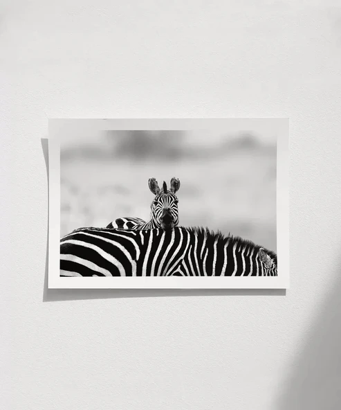 Çerçevesiz Poster Siyah Beyaz Denge ürün görseli