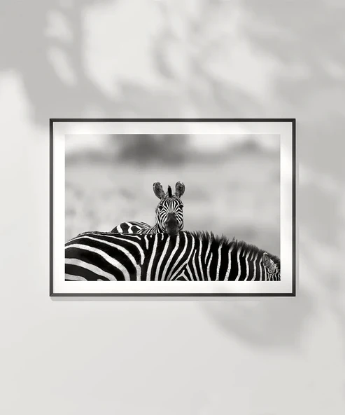 Çerçevesiz Poster Siyah Beyaz Denge - Resim 2