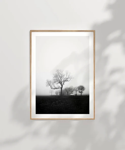 Çerçevesiz Poster Sessiz Bir Sabah - Resim 7