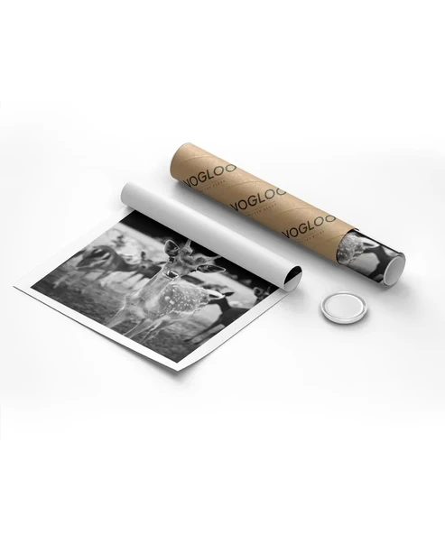 Çerçevesiz Poster Meraklı Bakışlar - Resim 8