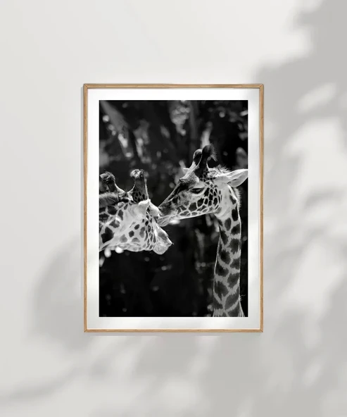 Çerçevesiz Poster Uzun Boylu Aşk - Resim 7