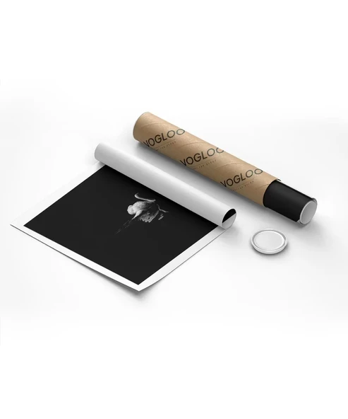 Çerçevesiz Poster Gecenin Yalnız Kuğusu - Resim 8