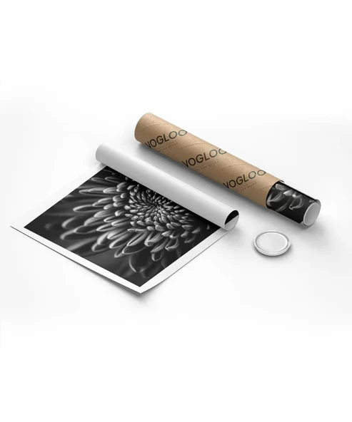 Çerçevesiz Poster Doğanın Geometrisi - Resim 8