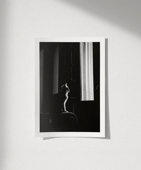 Çerçevesiz Poster Pencere Önünde Düşler ürün görseli