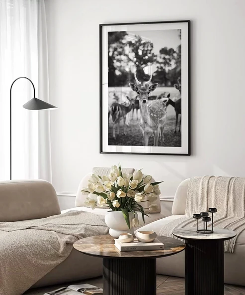 Çerçevesiz Poster Meraklı Bakışlar - Resim 5