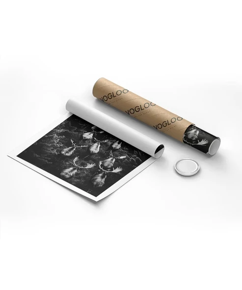 Çerçevesiz Poster Ormanın Sessiz Sürüsü - Resim 8