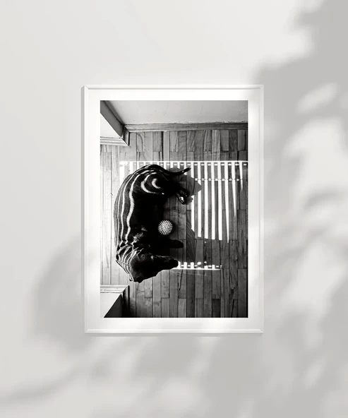 Çerçevesiz Poster Gölge Oyunları - Resim 6