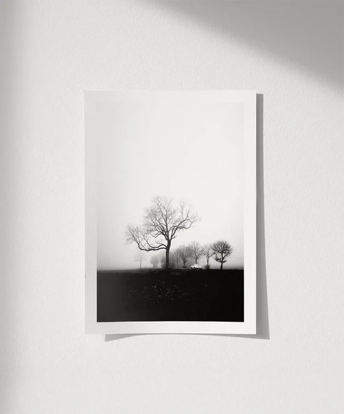 Çerçevesiz Poster Sessiz Bir Sabah ürün görseli