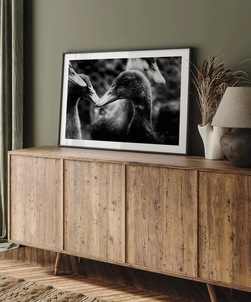 Çerçevesiz Poster Ördekler Arasında - Resim 5