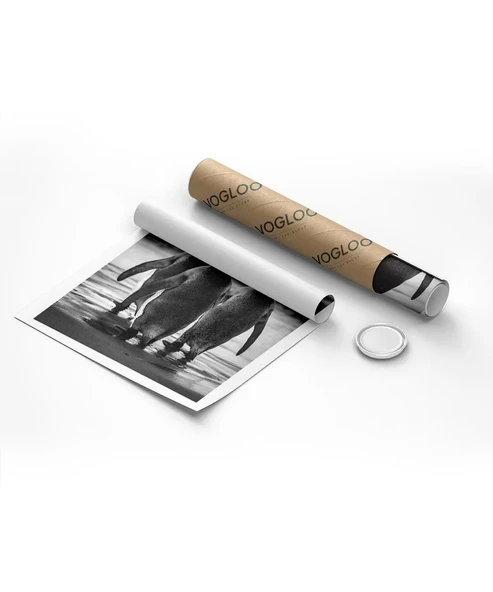 Çerçevesiz Poster Penguen Kardeşliğ, - Resim 8