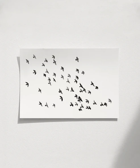 Çerçevesiz Poster Hareketin Özgürlüğü ürün görseli