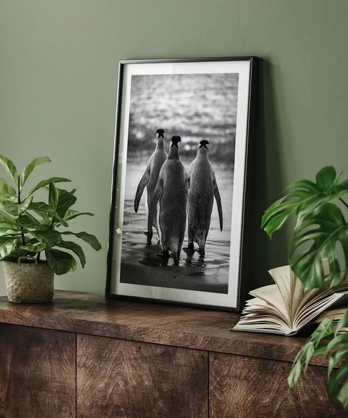 Çerçevesiz Poster Penguen Kardeşliğ, - Resim 5