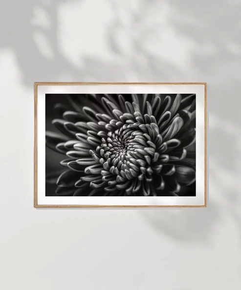 Çerçevesiz Poster Doğanın Geometrisi - Resim 7