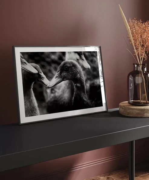 Çerçevesiz Poster Ördekler Arasında - Resim 3