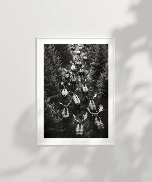 Çerçevesiz Poster Ormanın Sessiz Sürüsü - Resim 6