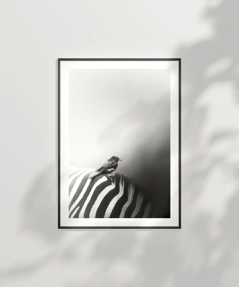 Çerçevesiz Poster Çizgilerin Üzerinde - Resim 2