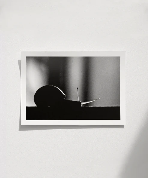 Çerçevesiz Poster Sabırın Gücü ürün görseli