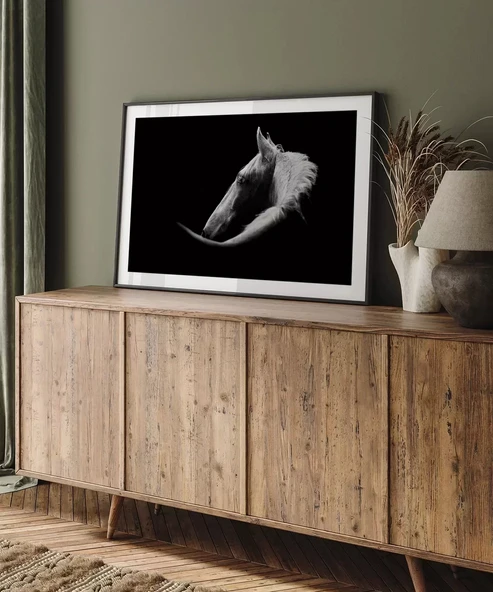 Çerçevesiz Poster Gölgedeki Asalet - Resim 5