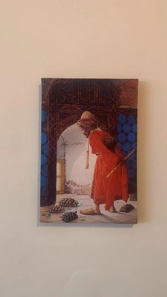 Kaplumbağa Terbiyecisi Natürel Tasarım Ahşap Çerçeve Ev İşyeri Duvar Kanvas Tablo - Resim 5