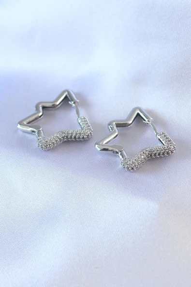 CEYLAN ADAM Gümüş Renk Yıldız Model Zirkon Taşlı Pirinç Kadın Küpe ürün görseli 1