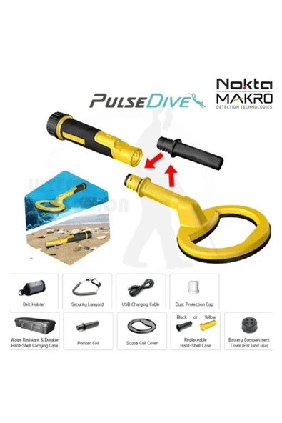 Pulse Dive Scuba Dedektör