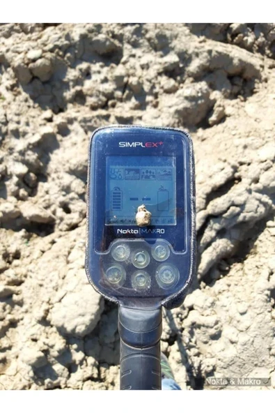 Simplex+ Metal Dedektörü - 4