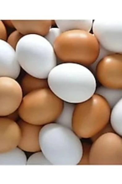 Sahte Yumurta 40 Adet Karışık Renk - 1