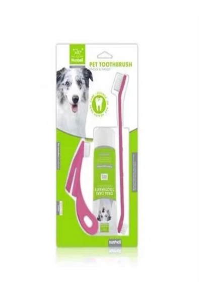 Nunbell Dental Kıt Set 3 ' Lü ürün görseli