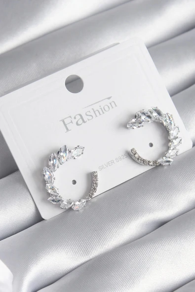 CEYLAN ADAM Pirinç Gümüş Renk Zirkon Taşlı Kadın Küpe ürün görseli 1