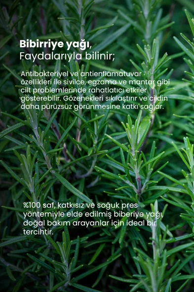 TTO Hint Yağı - 3