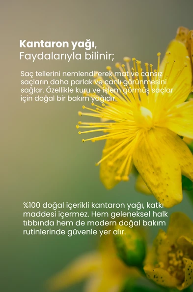 TTO Kantaron Yağı 10 ml - 3