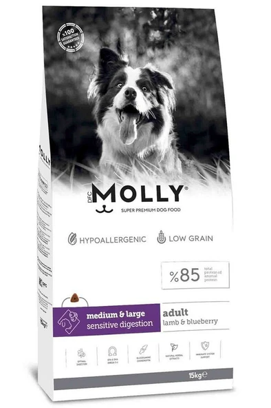 Molly Medium Adult 2 kg Kuzu Etli & Yaban Mersinli Orta ve Büyük Irk Yetişkin Köpek Maması ürün görseli