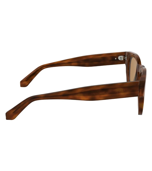 Calvin Klein Jeans CKJ25601S-201 Unisex Güneş Gözlüğü - Resim 6