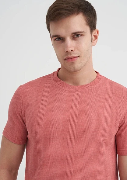 CAZADOR Gül Kurusu Erkek Bisiklet Yaka T-shirt ürün görseli 1